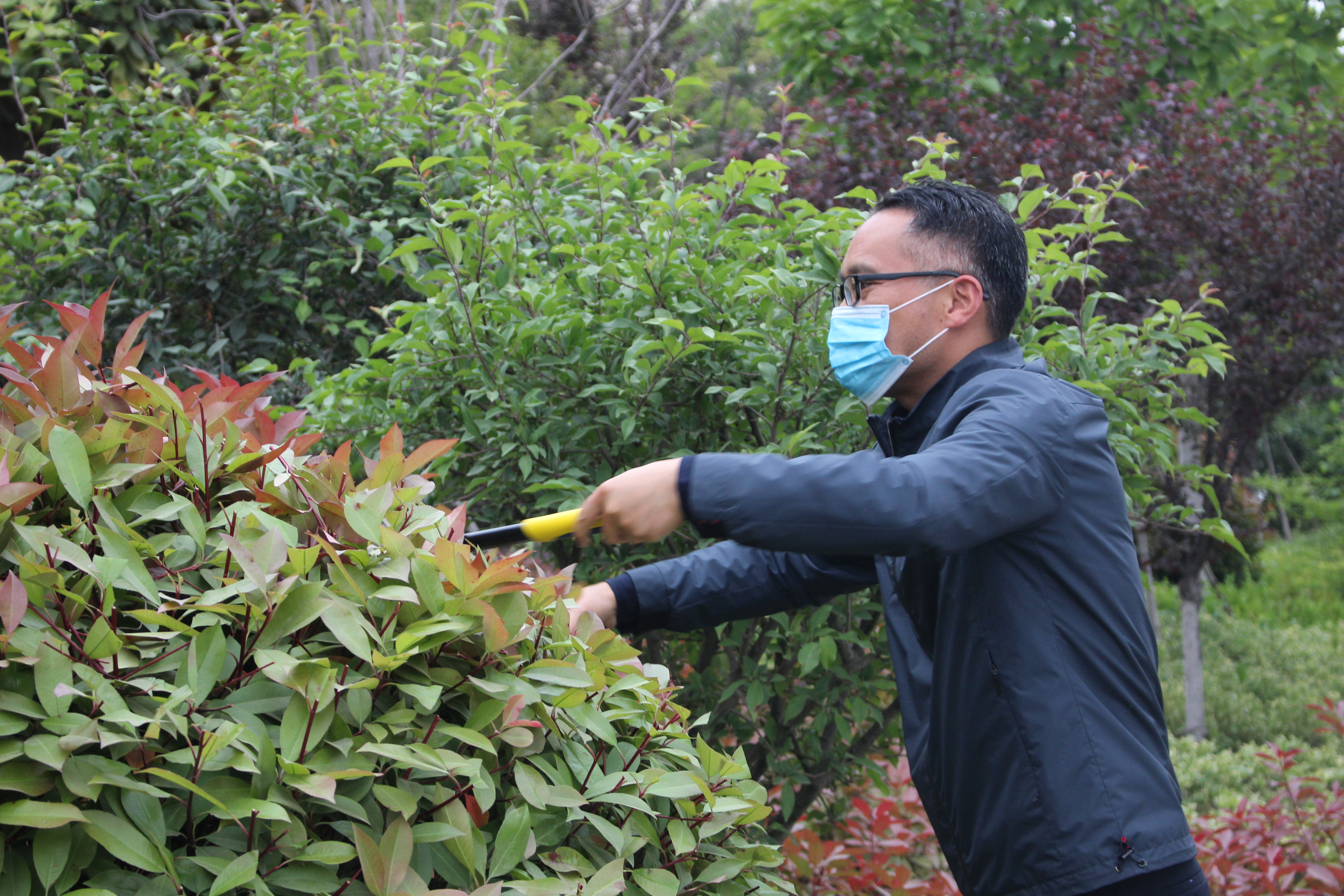 劳动教育 示范先行|小学部南校区开展校园花草树木