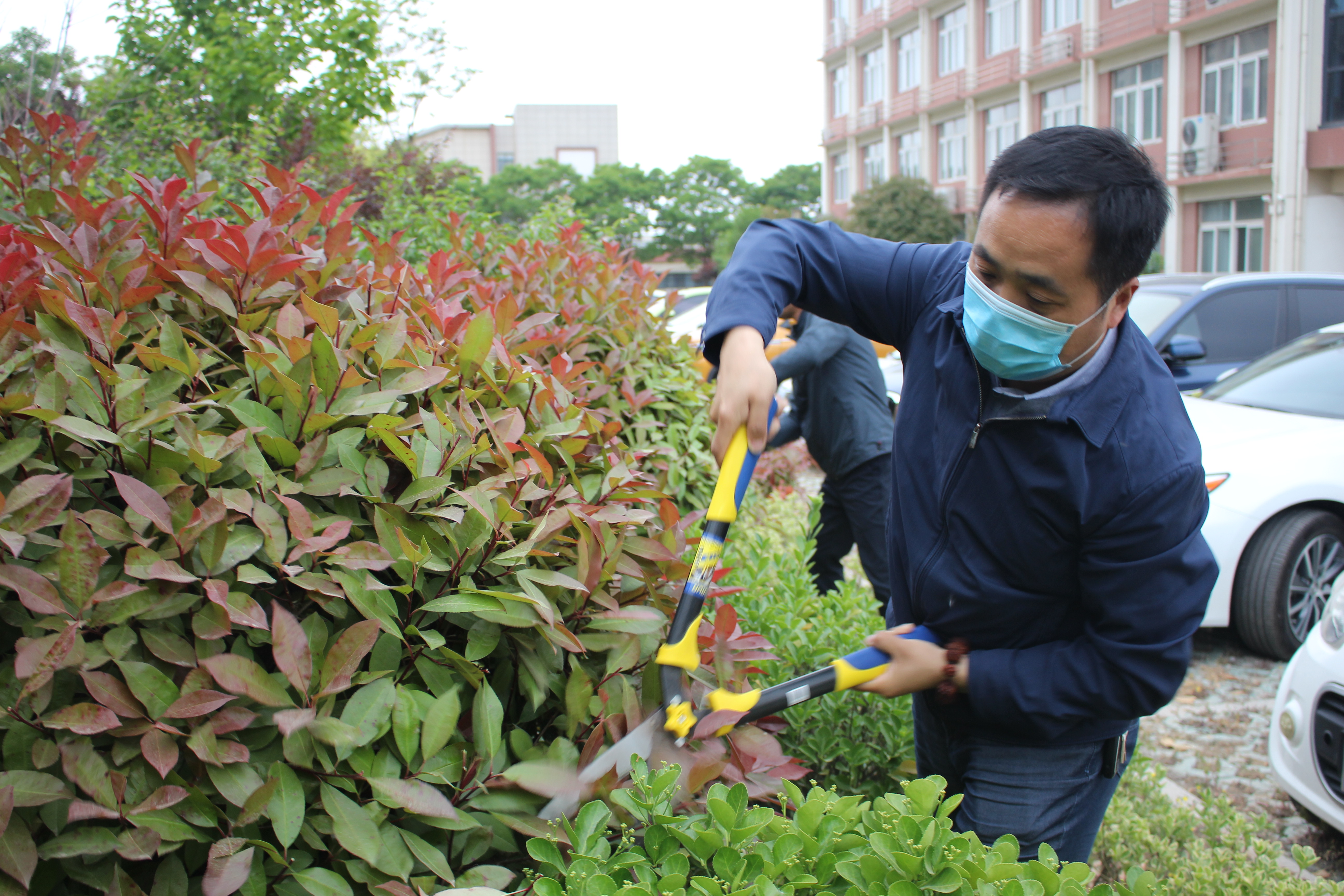 劳动教育 示范先行|小学部南校区开展校园花草树木